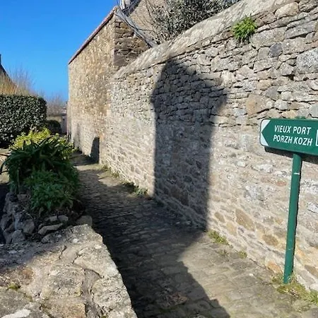 Le Vieux Port - Vue